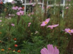 -云南滇池花园国际大酒店温泉