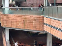 -香港大学