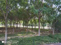 -永定河休闲森林公园