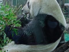 -上海动物园(地铁站)