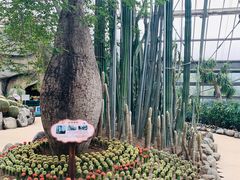 -南山植物园