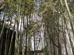 -陕拾叁(袁家村店)