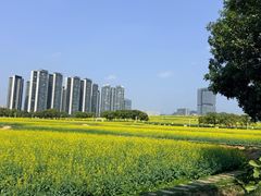 -光明小镇欢乐田园