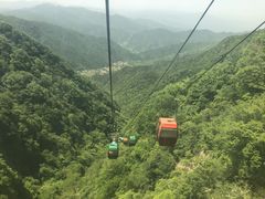 -王顺山国家森林公园