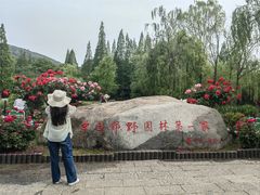 -习家池