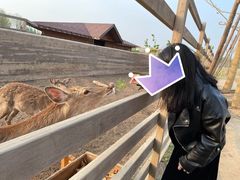 -安德鲁户外烧烤帐篷营地(马泉营店)