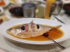 火焖鲥鱼-顺风海鲜港(金玉兰店)