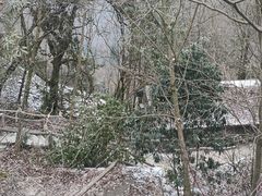 -九皇山景区