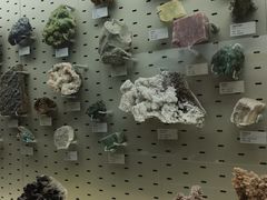 -浙江自然博物院(杭州馆)