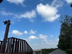 -上海滨江森林公园