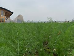 -中国天府农业博览园