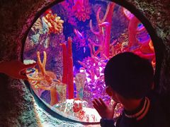 -沈阳海洋探索中心