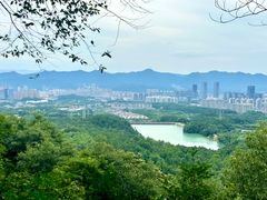 -大奇山国家森林公园