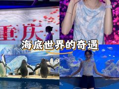 -重庆欢乐海底世界