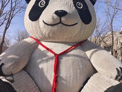 -鄂尔多斯野生动物园