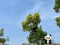 -上海野生动物园