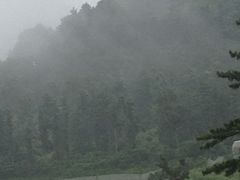 -雪绿茶博物馆