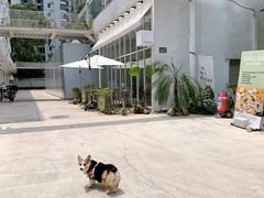 -CHILLAX轻乐时(侨建·Hi City店)