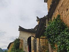 -杨家堂村