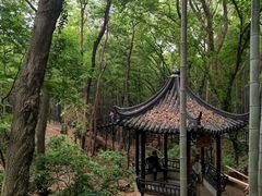 -宝岩生态观光园