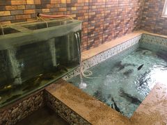 -荣德灶台鱼(圣泉寺店)