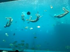 -瑞德姆美人鱼海底演艺主题餐厅(亚龙湾店)