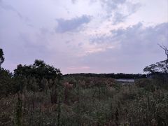 -上海市保健医疗中心