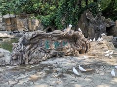 -燕塞湖鸟语林景区