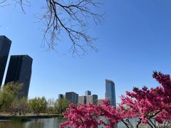 -西海子公园