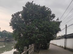 -乌镇东栅景区