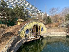 -南宫五洲植物乐园
