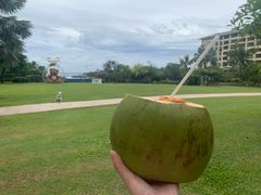 -三亚亚龙湾天域度假酒店