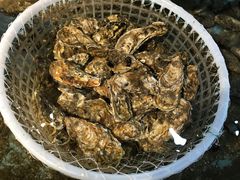 -渔满仓海鲜渔家(象山二店)