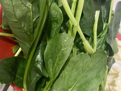 菠菜-洞庭洲·防空洞火锅·铜锅涮肉·烧烤(新百广场店)