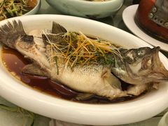 -福禄财东北菜(珠江帝景店)