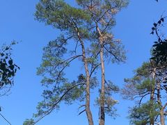-东南悬空寺方广岩