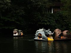 -维乐口腔医院(星海湾分院)