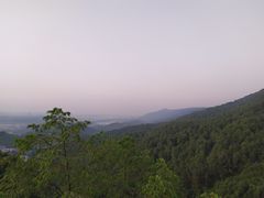 -铁山坪森林公园