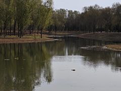 -东郊湿地公园