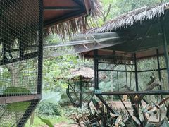 -海南热带野生动植物园