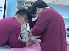 -北京观赏动物医院·24小时大型综合·猫专科·异宠专科
