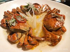 -蟹榭·本帮江浙菜·蟹宴(五角场合生汇商场店)