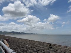 -野狸岛