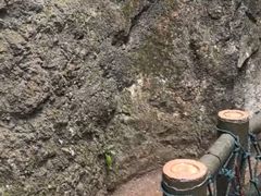 -玉石林风景区