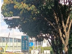 -广州香格里拉酒店