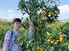 -上海长兴岛郊野公园