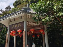 -鼎湖山风景区
