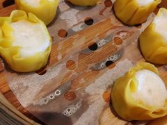 -吴系粤菜馆·茶餐厅(深业上城店)