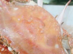 -红星渔村(将军石店)