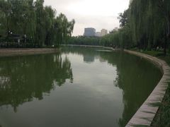 -青年湖公园水上世界